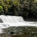 Hiking, Biking, Swimming, and Other Things