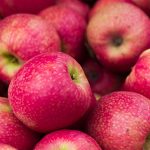 It's Apple Season!